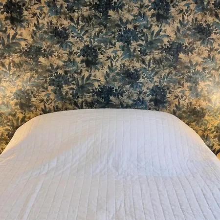 Accueillant A Mauguio, 55 M² Avec Jardin Paisible